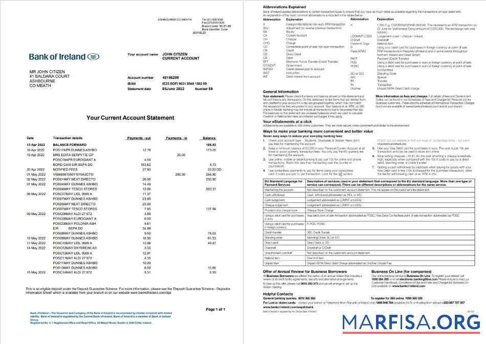 Blank Irland Bank of Ireland statement word 2 pages real example